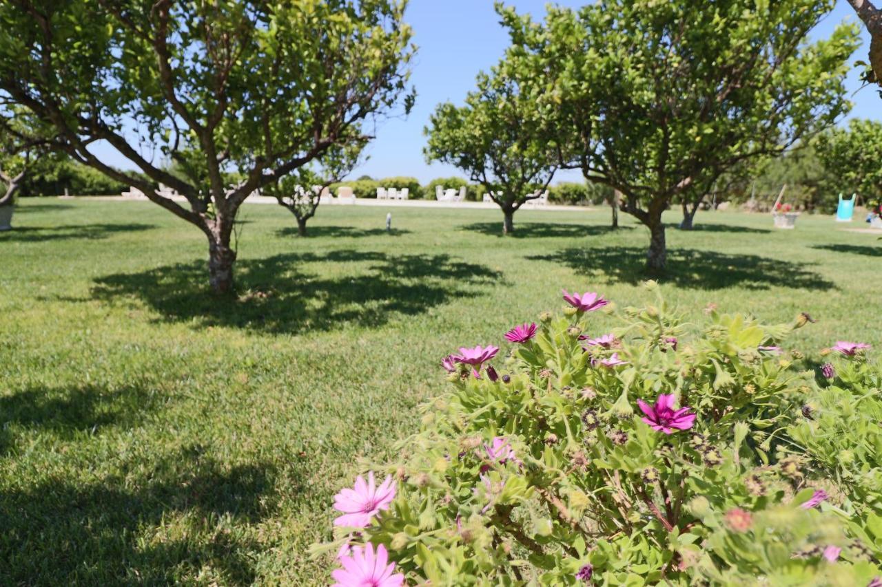 Tenuta Degli Agrumi Carmiano  Exterior photo